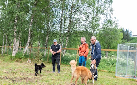 Håvard Skravlå Røilid, Trond Lillebjerka og Finn-Ove Skaret bruker hundeparken mye, og er storfornøyde. Trond Og Finn-Ove har vært med på etableringen.