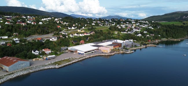 Natres fabrikk på Hemnesberget vurderes nedlagt av ledelsen i Dovista Norge.