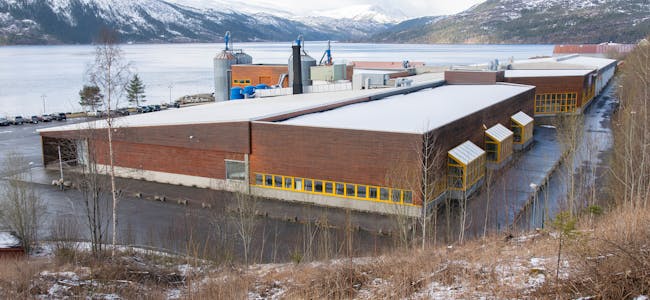 Natre Vinduers anlegg på Hemnesberget består av 12.000 kvadratmeter produksjonslokaler og 2.500 kvadratmeter lagerlokaler.